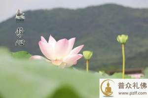 巨商静心复得伞