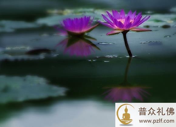 心存善念,温暖世界_1