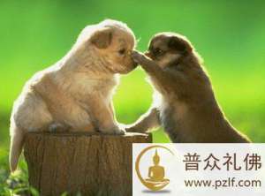 宽容，是为自己创造机会